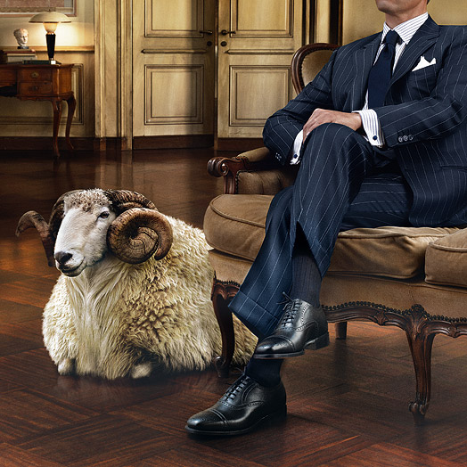 stofe vitale barbaris